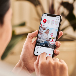 Frau die ein Handy in der Hand h&auml;lt und sich einen Social Media Beitrag der Sparkasse anschaut, Zimmerpflanze im Hintegrund