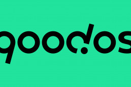 qoodos Logo, schwarz auf türkis
