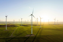 Windpark, grüne Wiesen und Felder, Sonnenaufgang, weiches Licht