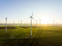Windpark, gr&uuml;ne Wiesen und Felder, Sonnenaufgang, weiches Licht