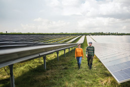 Zwei junge Erwachsene laufen zwischen den Solarpanels eines Solarparks entlang